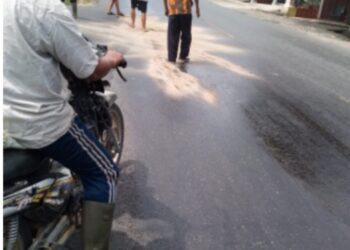 Keterangan Foto: Ceceran minyak brondolan Sawit yang mengakibatkan kecelakaan