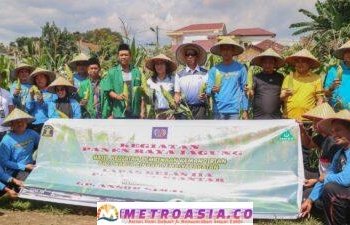 Dukung Program Ketahanan Pangan, Lapas Pematangsiantar Panen Raya Jagung Hasil Karya Warga Binaan