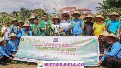 Dukung Program Ketahanan Pangan, Lapas Pematangsiantar Panen Raya Jagung Hasil Karya Warga Binaan