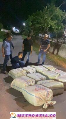 Bravo!!! Polda Sumut Gagalkan Peredaran 272 Kilogram Ganja Asal Aceh