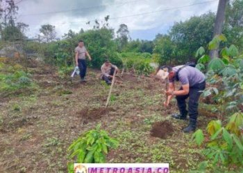 Dukung Asta Cita Presiden RI, Polsek Pangururan Bantu Persiapkan Lahan Ketahanan Pangan