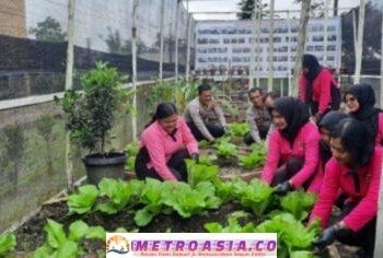 Mendukung Ketahanan Pangan, Polres Simalungun Luncurkan Pekarangan Pangan Lestari