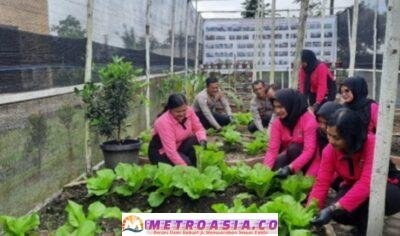 Mendukung Ketahanan Pangan, Polres Simalungun Luncurkan Pekarangan Pangan Lestari