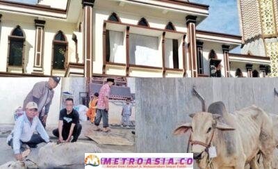 Hari Raya Idul Adha, Bupati Simalungun Serahkan Hewan Qurban ke Masjid Raya Taqwa Parapat