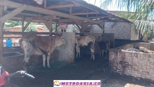 Kejaksaan Negeri Simalungun Monitor DD TA 2024 Nagori Sahkuda