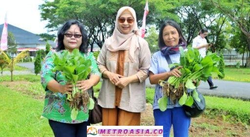 Ketua TP PKK Simalungun Bagikan Sayur Sawi Hasil Panen Dipekarangan