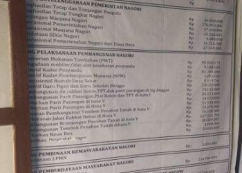 Dikonfirmasi Anggaran Pembangunan Kandang Sapi, Direktur BUMDes : Ngapain baca Anggaran Bapak