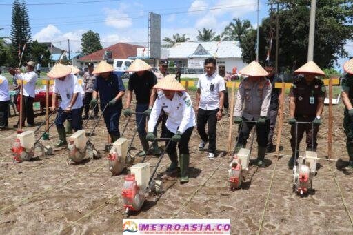 Polres Simalungun Ikut Penanaman Jagung Serentak Kuartal IV 2025, Kapolri dan Wapres Gibran Pimpin Secara Virtual