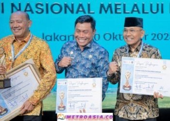 Bupati Simalungun Terima Piagam Penghargaan TPAKD Terbaik