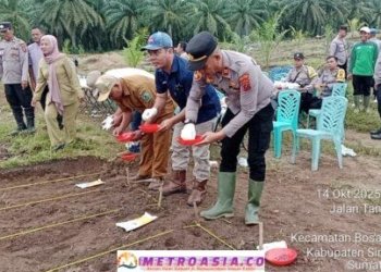 Polsek Bosar Maligas Dukung Program Ketahanan Pangan Jagung