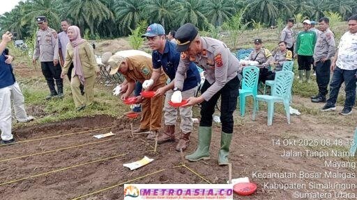 Polsek Bosar Maligas Dukung Program Ketahanan Pangan Jagung