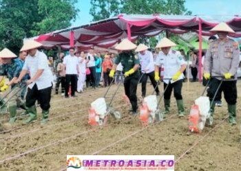 Wakil Bupati Simalungun Tegaskan Komitmen Dukung Program Nasional Swasembada Pangan