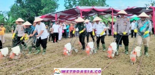 Wakil Bupati Simalungun Tegaskan Komitmen Dukung Program Nasional Swasembada Pangan