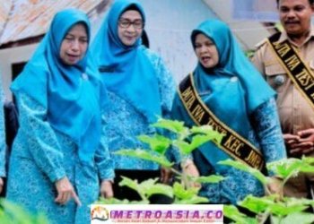 Tim Monitoring TP PKK Provinsi Sumut Tinjau Nagori dan Kecamatan Percontohan di Kabupaten Simalungun