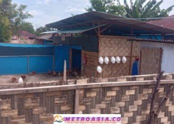 Kandang Ayam BUMNag Margomuliyo Berpotensi Sebar Penyakit, Warga Minta Peninjauan