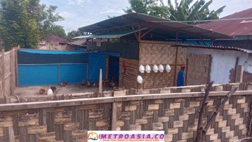 Kandang Ayam BUMNag Margomuliyo Berpotensi Sebar Penyakit, Warga Minta Peninjauan