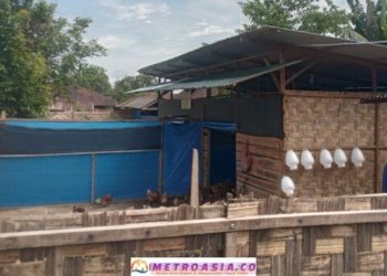 Direktur BUMNag Milik Margomuliyo Diduga Manipulasi DD Untuk Program Ketapang 2025