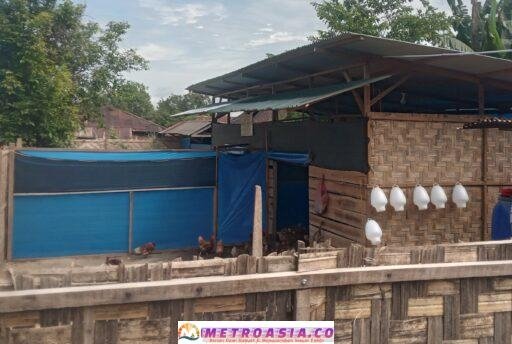 Direktur BUMNag Milik Margomuliyo Diduga Manipulasi DD Untuk Program Ketapang 2025