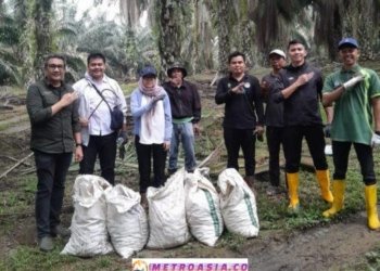 Kebun Bah Birung Ulu Lakukan Dobrakan Capai Target Produksi, Gotong Royong Kutip Brondolan