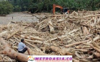 Kayu Gelondongan Viral di Banjir Sumatera, KLH Akan Panggil 8 Perusahaan