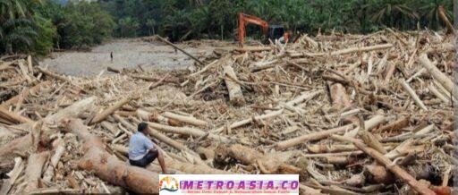 Kayu Gelondongan Viral di Banjir Sumatera, KLH Akan Panggil 8 Perusahaan