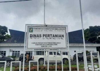 Integritas Penunjukan PPP di Pemkab Simalungun Ditengah Proses Hukum Menuai Sorotan