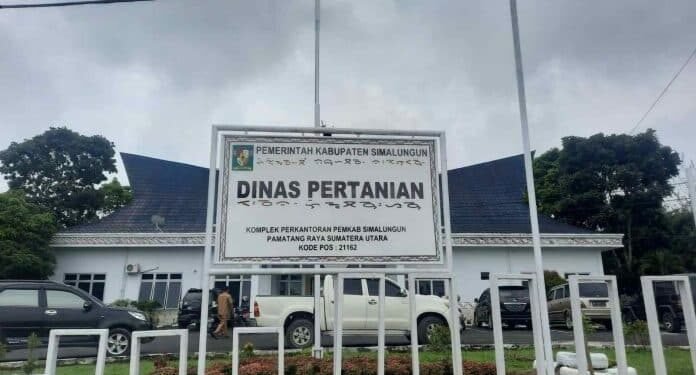 Integritas Penunjukan PPP di Pemkab Simalungun Ditengah Proses Hukum Menuai Sorotan