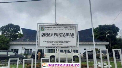 Integritas Penunjukan PPP di Pemkab Simalungun Ditengah Proses Hukum Menuai Sorotan