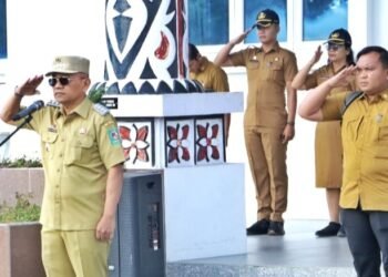 Bupati Simalungun Minta Sekda Memantau Irigasi di Kabupaten Simalungun