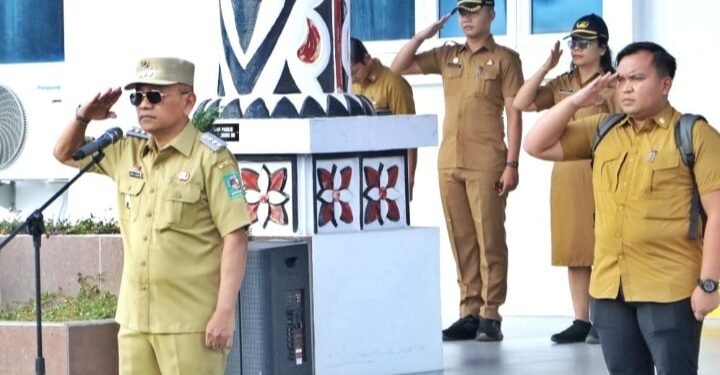 Bupati Simalungun Minta Sekda Memantau Irigasi di Kabupaten Simalungun