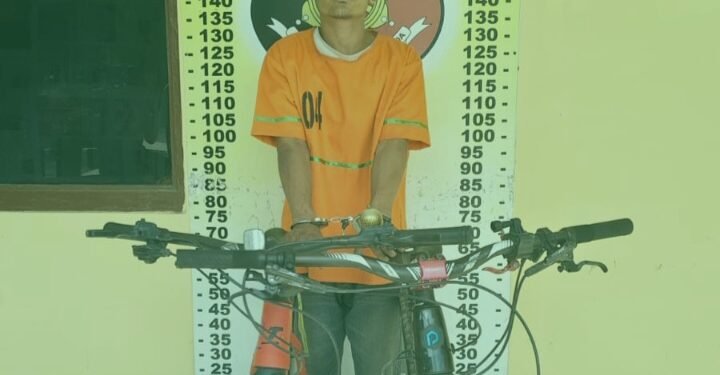 Pencuri Dua Sepeda Gunung Senilai Rp 44 Juta di Perdagangan Akhirnya Tertangkap