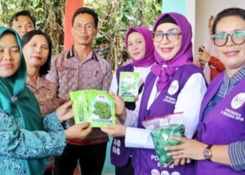 Posyandu di Simalungun Berkembang, Saat Ini Sudah Melayanani 6 Siklus Kehidupan