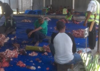 Idul Adha 1445 H: Masjid Alhuriyah Panei Tongah Sembelih 5 Lembu-11 Kambing, 500 KK Terima Daging Kurban