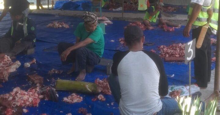 Idul Adha 1445 H: Masjid Alhuriyah Panei Tongah Sembelih 5 Lembu-11 Kambing, 500 KK Terima Daging Kurban