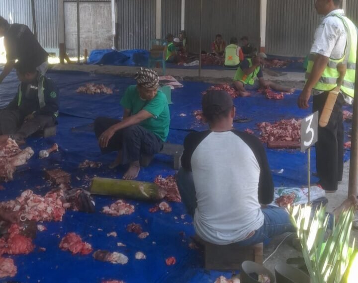Idul Adha 1445 H: Masjid Alhuriyah Panei Tongah Sembelih 5 Lembu-11 Kambing, 500 KK Terima Daging Kurban