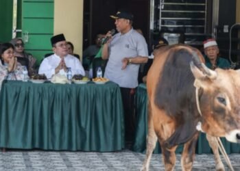 Hari Raya Idul Adha 1447 H, Walikota Siantar Berikan Satu Ekor Sapi ke DP MUI