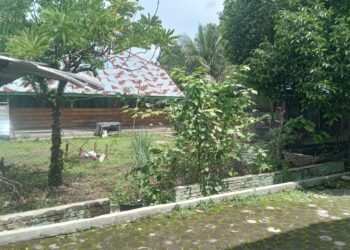 Delapan Rumah Dinas SMA Negeri 4 Pematangsiantar Dikuasai Pihak Luar, Kepsek Minta Pemprov Sumut Segera Bertindak