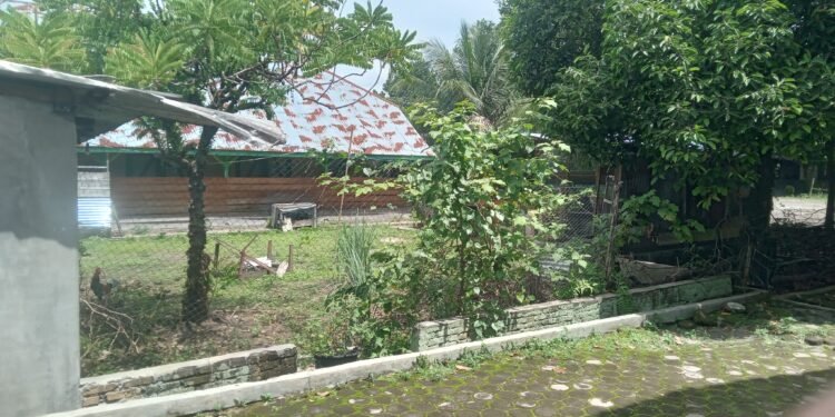 Delapan Rumah Dinas SMA Negeri 4 Pematangsiantar Dikuasai Pihak Luar, Kepsek Minta Pemprov Sumut Segera Bertindak
