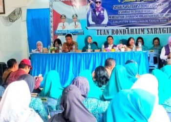 Tim Pembina Posyandu Simalungun Sosialisasikan 6 SPM di Bandar