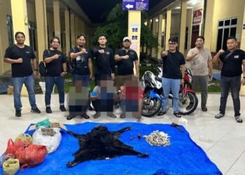 Jaringan Perdagangan Satwa Dilindungi Dibongkar, Rilis Polres Simalungun Belum Merinci ke Kerugian Negara