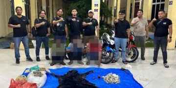 Jaringan Perdagangan Satwa Dilindungi Dibongkar, Rilis Polres Simalungun Belum Merinci ke Kerugian Negara