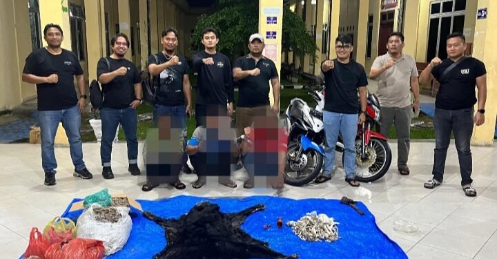 Jaringan Perdagangan Satwa Dilindungi Dibongkar, Rilis Polres Simalungun Belum Merinci ke Kerugian Negara