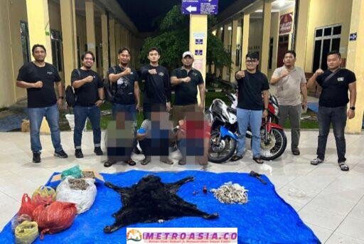 Jaringan Perdagangan Satwa Dilindungi Dibongkar, Rilis Polres Simalungun Belum Merinci ke Kerugian Negara