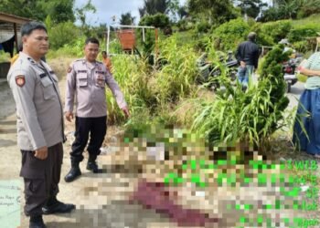Pelaku Penganiayaan Terhadap Istri Hingga Meninggal Di Purba Diamankan
