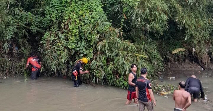 Ikut Mencari Daun  Pisang Untuk Dijual, Anak Berusia 8 Tahun Hanyut di Sungai Sosopan