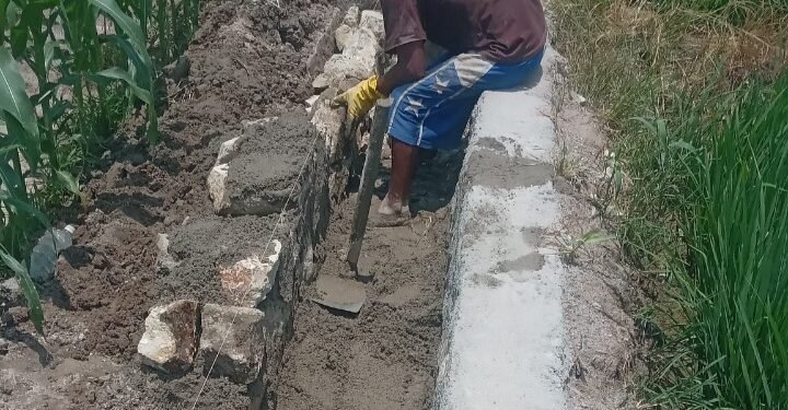 Perintah Pemborong” Jadi Alasan, Rehabilitasi Irigasi Bah Lombut Abaikan Spek Teknis