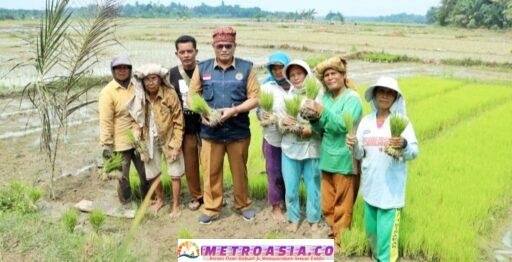 Dua Bendung Rusak di Ujung Padang, BPBD Simalungun Tinjau Langsung Demi Ketahanan Pangan