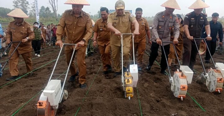 Pemkab Taput Luncurkan Kawasan Pertanian Terpadu Sijaba, Tonggak Baru Pertanian Modern dan Berkelanjutan