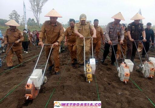 Pemkab Taput Luncurkan Kawasan Pertanian Terpadu Sijaba, Tonggak Baru Pertanian Modern dan Berkelanjutan
