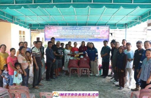 SOL Perkuat Kapasitas Petani Lewat Program Bawang Merah di Tapanuli Utara